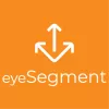 Forescout eyeSegment Graphic